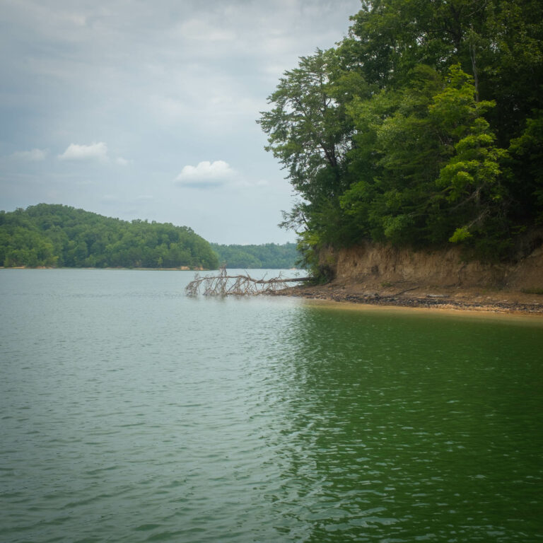 Laurel Lake – Grove Marina